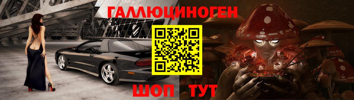Псилоцибиновые грибы Cubensis  Вход с VPN  Усть-Кут 