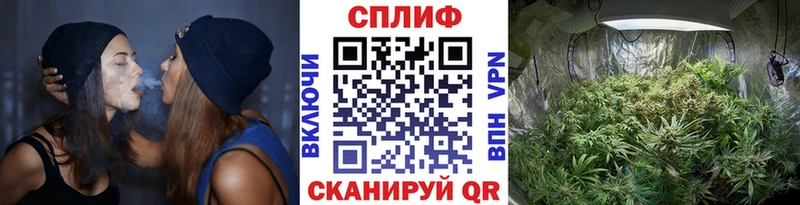 Канабис VHQ  хочу наркоту  Усть-Кут 